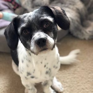 Meet your Posher, Jared